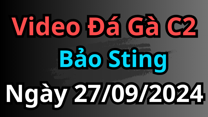 Video Các Trận Của Bảo Sting Đá Gà C2 Ngày 27/9/2024