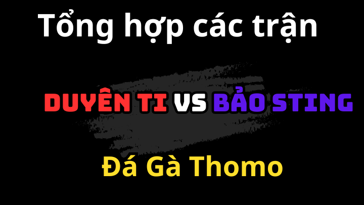 Tổng Hợp Các Trận Đá Gà Của Bảo Sting vs Duyên Ti Đá Gà C1 C2 C3