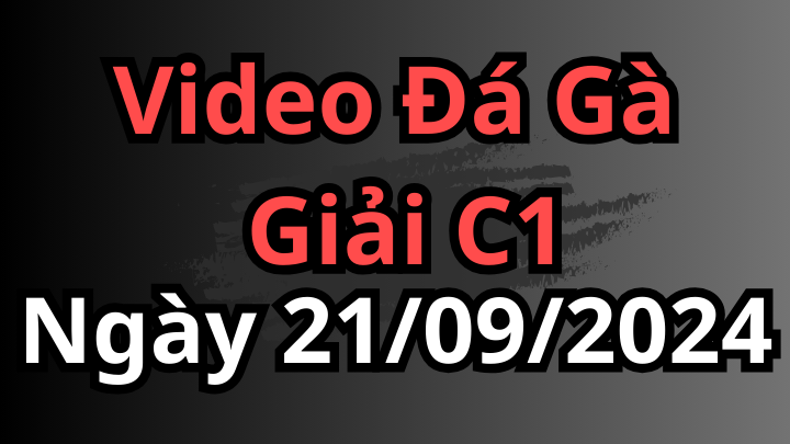 Video 33 Trận Đá Gà Giải Trực Tiếp C1 Ngày 21/09/2024