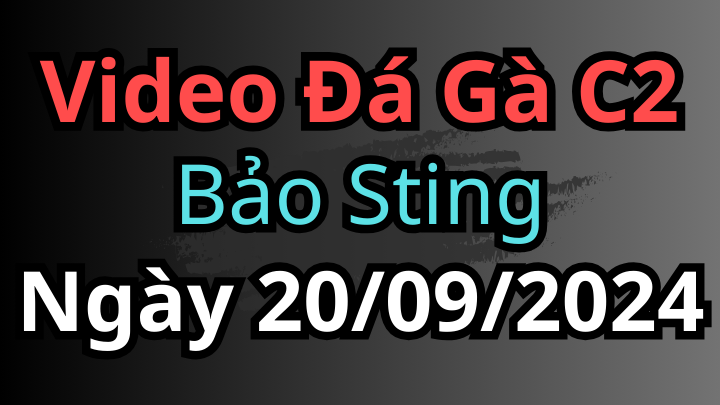 Video Các Trận Đá Gà Bảo Sting Hôm Nay Ngày 20/09/2024