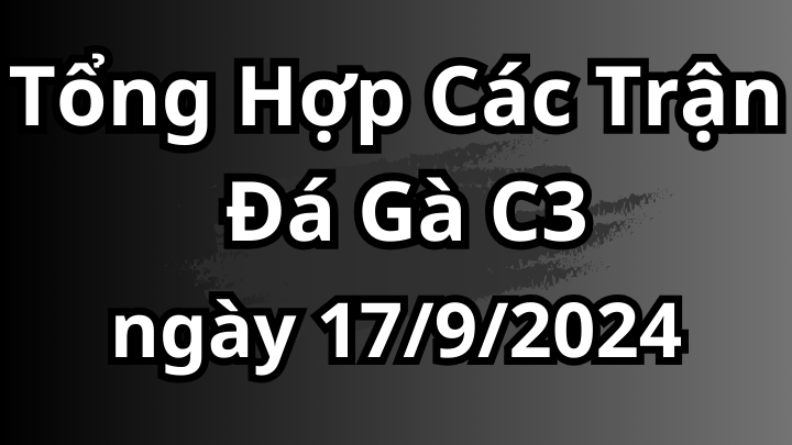 33 Trận Đá Gà Trực Tiếp C3 Ngày 17/9/2024 - Đá Gà 88